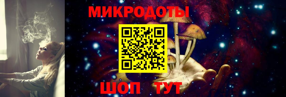 Торжок  Псилоцибиновые грибы Psilocybine cubensis  Вход с VPN 